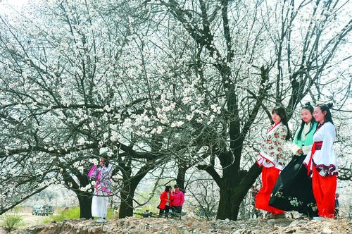 NBA 湖人vs勇士 免费直播